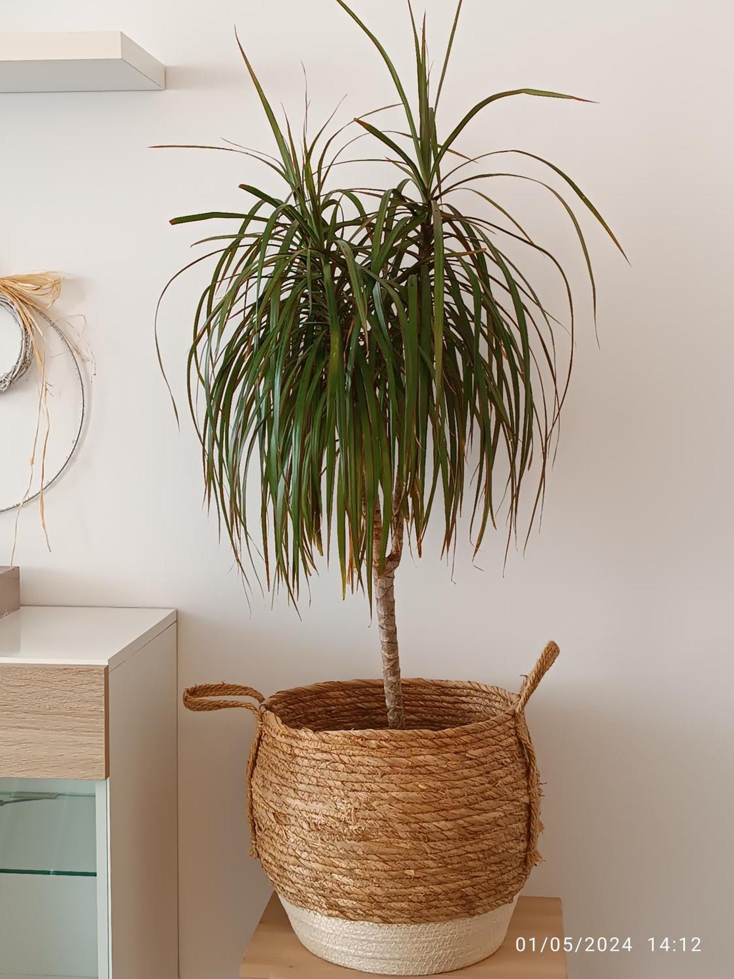 Apartamento La Yeye El Port De La Selva Habitación foto